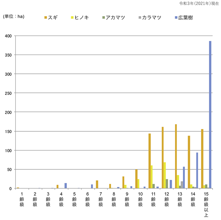 令級別面積の棒円グラフ