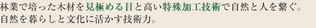 林業で培った木材を見極める目と高い特殊加工技術で、自然と人を繋ぐ。自然を暮らしと文化に活かす技術力