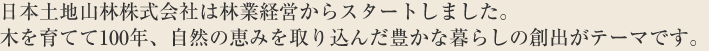 日本土地山林株式会社は林業経営からスタートしました。木を育てて100年、自然の恵みを取り込んだ豊かな暮らしの創出がテーマです